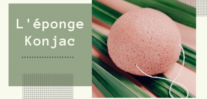 The Konjac sponge, your vegan ally for a smooth daily treatment!